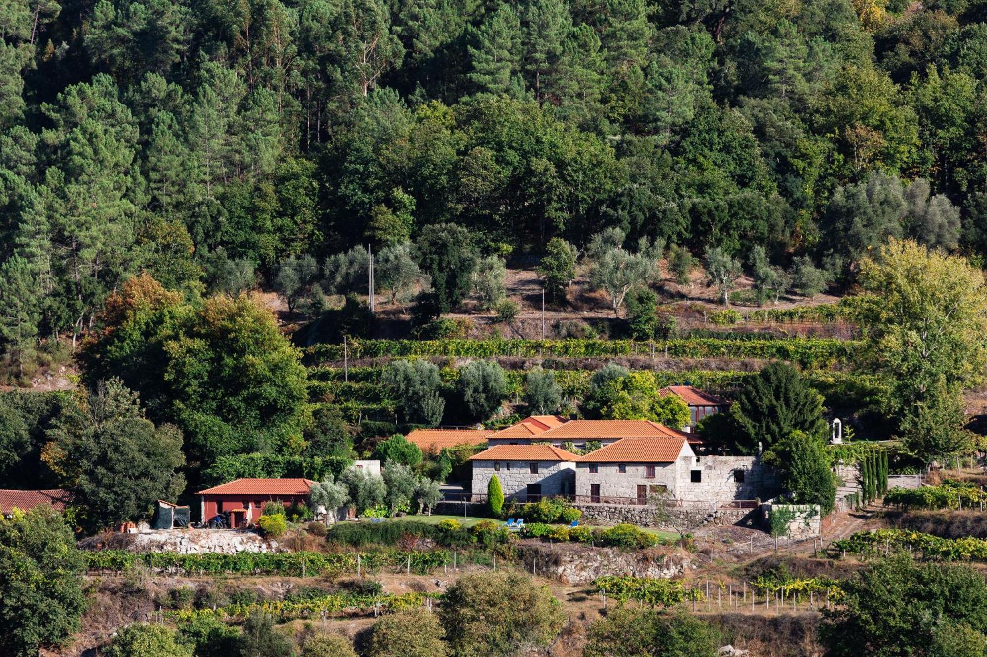 Quinta Da Pousadela - Agroturismo ξενώνας Amarante Εξωτερικό φωτογραφία