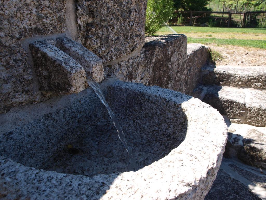 Quinta Da Pousadela - Agroturismo Amarante Εξωτερικό φωτογραφία