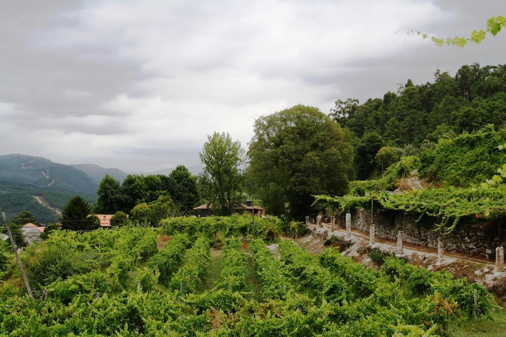 Quinta Da Pousadela - Agroturismo Amarante Εξωτερικό φωτογραφία